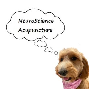 NeuroScience Acupuncture | Longwood