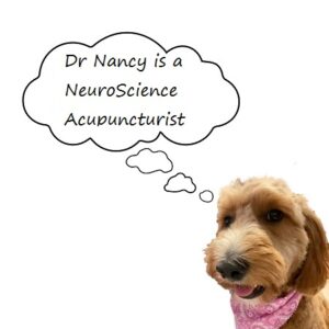Neuroscience Acupuncture Longwood