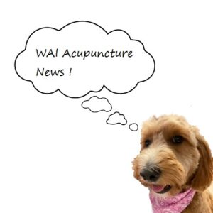 WAI Acupuncture | Longwood FL