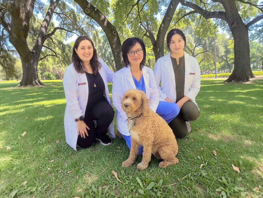 Doctors of Wai Acupuncture