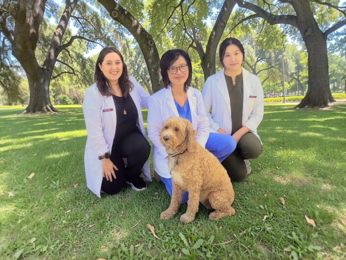 Doctors of Wai Acupuncture